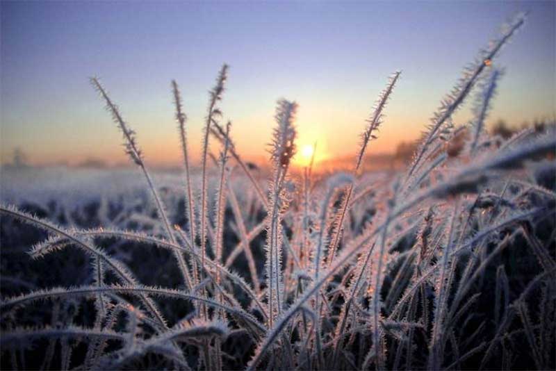 На востоке Оренбуржья ожидаются сильные заморозки