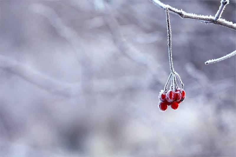 Снег, ветер и до пяти градусов мороза ожидаются днем 17 ноября в Оренбургской области