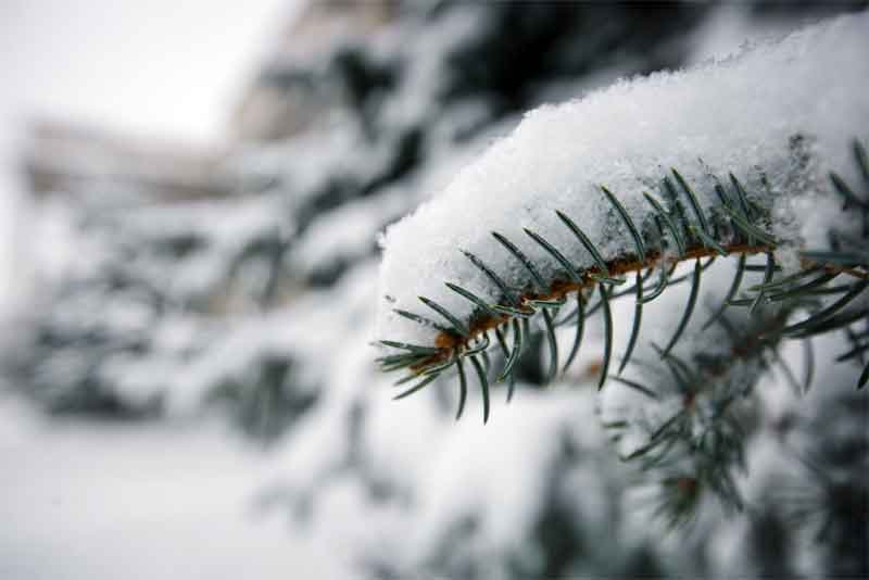 Синоптики прогнозируют в Оренбуржье сильные снегопады