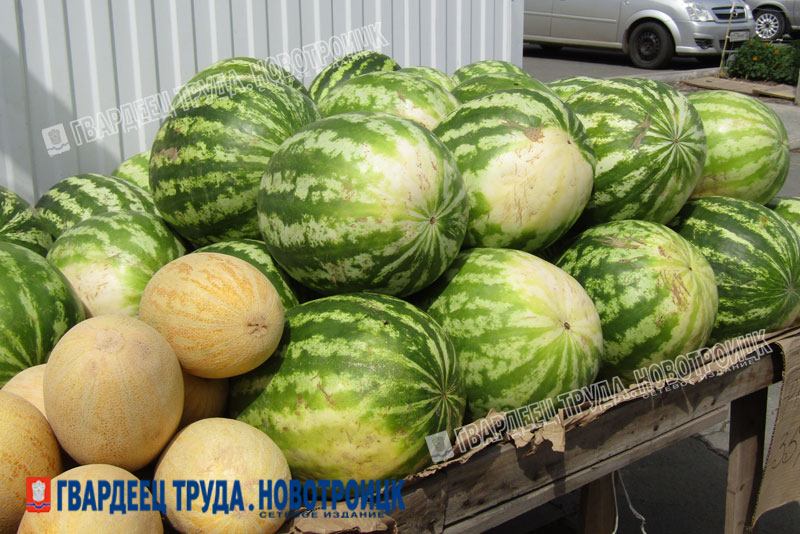 В Новотроицке торговля бахчевыми ведется с овощных лотков