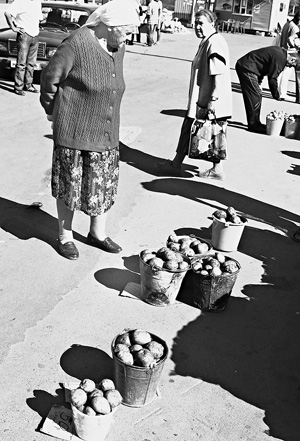 Мы за ценой не постоим?