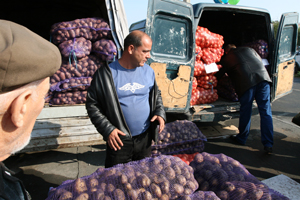 Овощи подешевели…