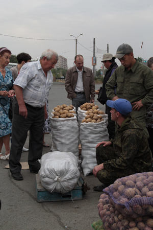 Ответ кризису – запасы на зиму