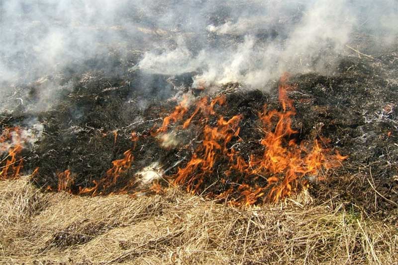 В Оренбуржье сохраняется четвертый класс пожарной опасности  