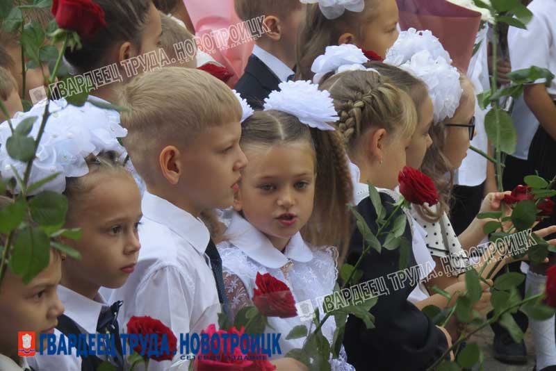 Увлекательное путешествие в страну знаний началось!