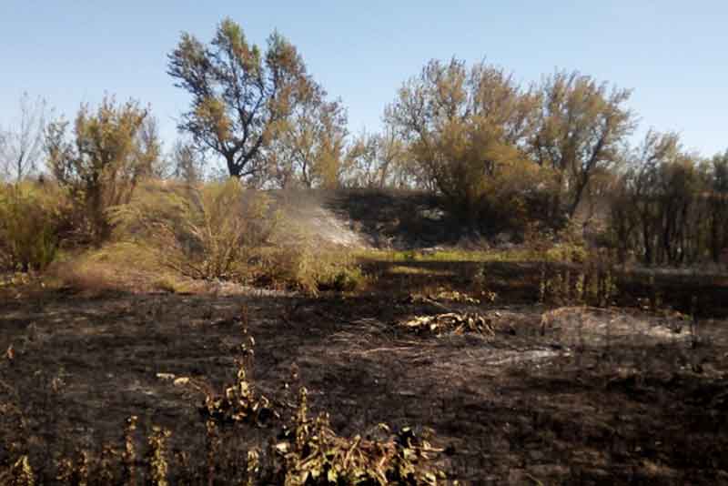 Наряду с сотрудниками МЧС и полиции на борьбу со стихией встали добровольцы