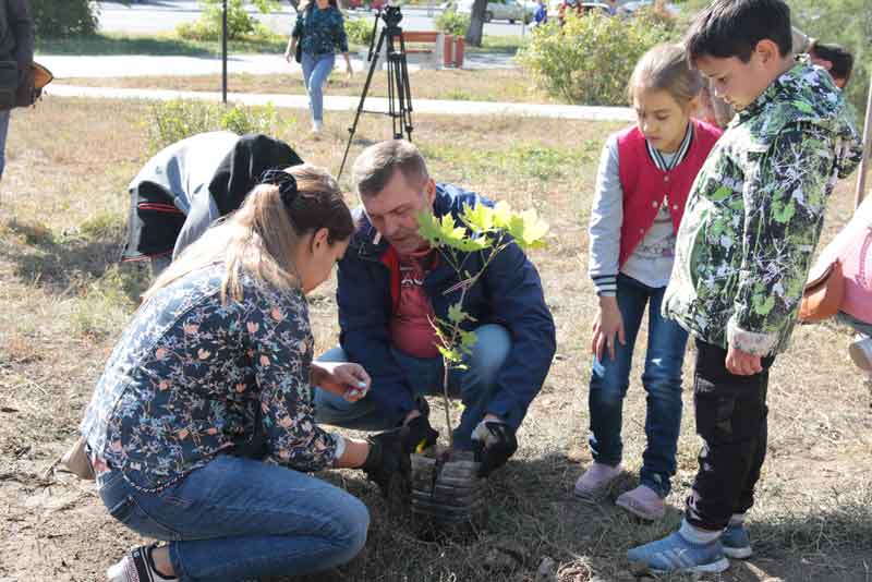 «Металлоинвест» помог высадить семейную аллею в парке Новотроицка