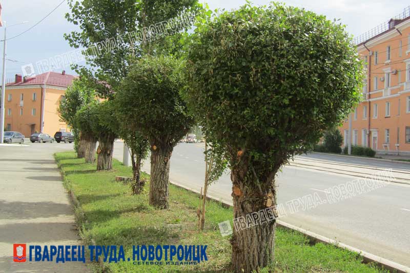 Принято решение о поэтапном увеличении штата предприятия «Городское благоустройство и дорожное хозяйство»