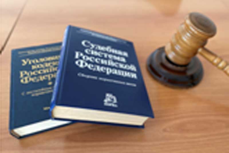 Новотройчанку осудили за присвоение чужого телефона