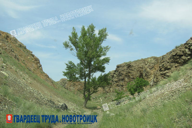 Днем 3 июня в Оренбуржье пройдет дождь, град и до +19 градусов