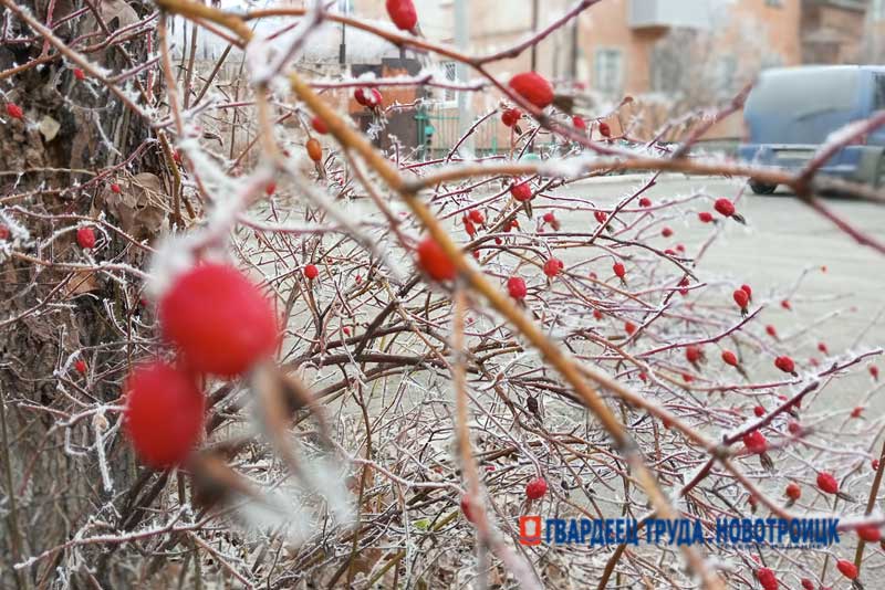 В Оренбуржье днем 3 декабря – мокрый снег, туман и гололед. Потеплеет до +2 градусов
