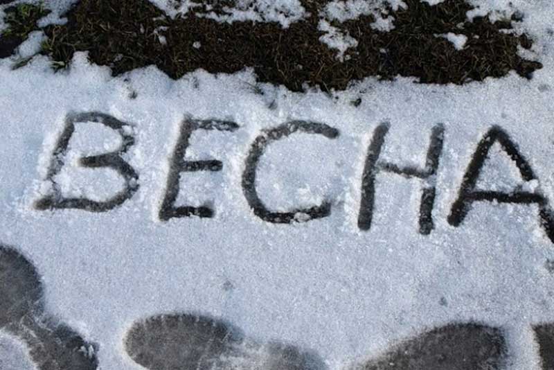 В Оренбуржье пришли весенние дожди