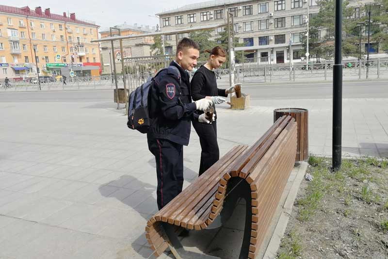  На уборку города вышли волонтеры…