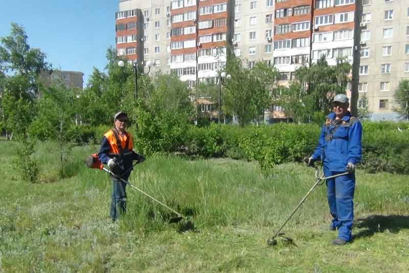 Клумбы и газоны будут радовать глаз