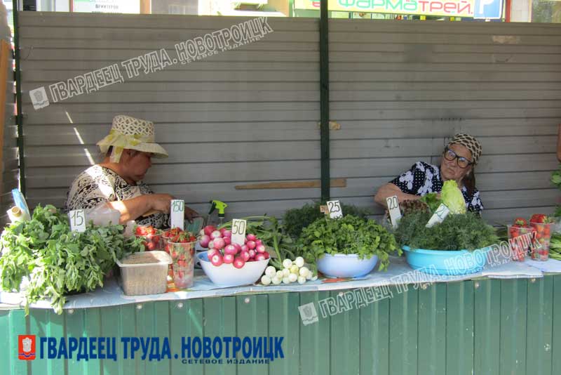 Излишки урожая с приусадебных участков местных садоводов  и другие товары от сельхозпроизводителей   новотройчане могут приобрести на 6 официальных торговых площадках