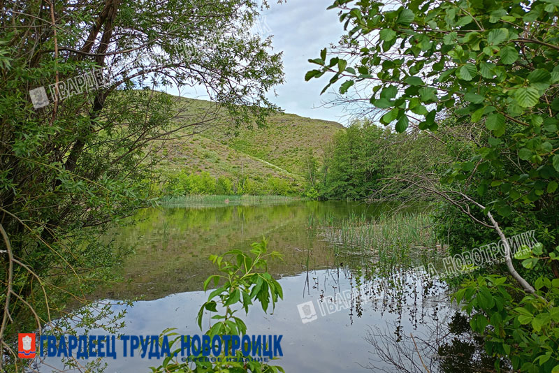 С начала года на воде в Оренбуржье погибло свыше 40 человек, среди них 8 детей