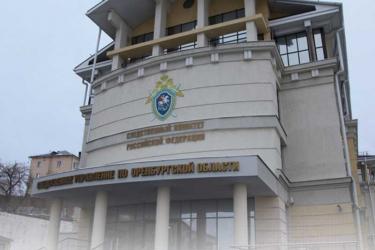 В Оренбуржье следственными органами возбуждено два уголовных дела по факту нападения на воспитателя бугурусланского детского сада