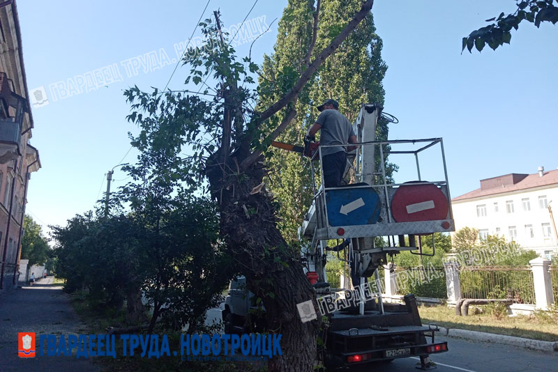 Бригада озеленителей вышла на улицы города