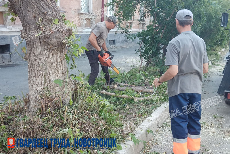 Бригада озеленителей вышла на улицы города