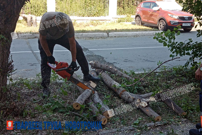 Бригада озеленителей вышла на улицы города