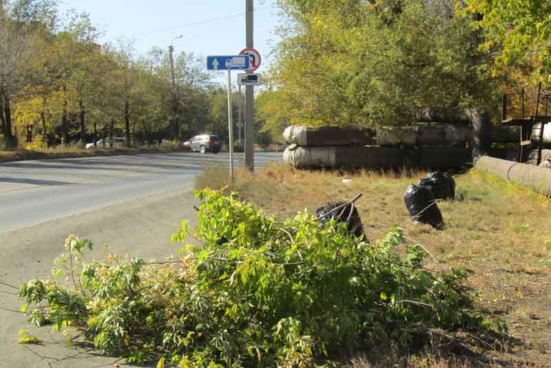 В Новотроицке с 6 по 20 октября проводятся осенние субботники