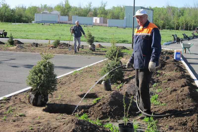 В городском парке, закрытом для посетителей, кипит работа