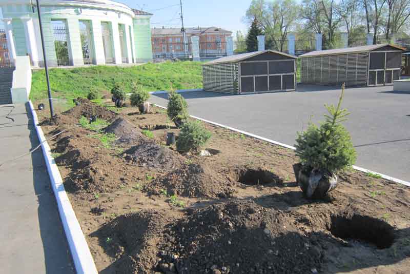 В городском парке, закрытом для посетителей, кипит работа