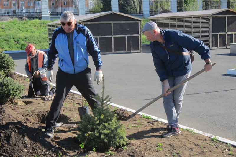 В городском парке, закрытом для посетителей, кипит работа