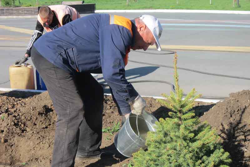 В городском парке, закрытом для посетителей, кипит работа