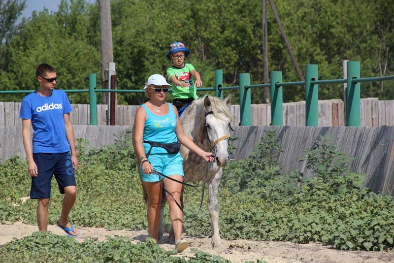 «Сивка-Бурка» - победитель конкурса грантов Президента РФ