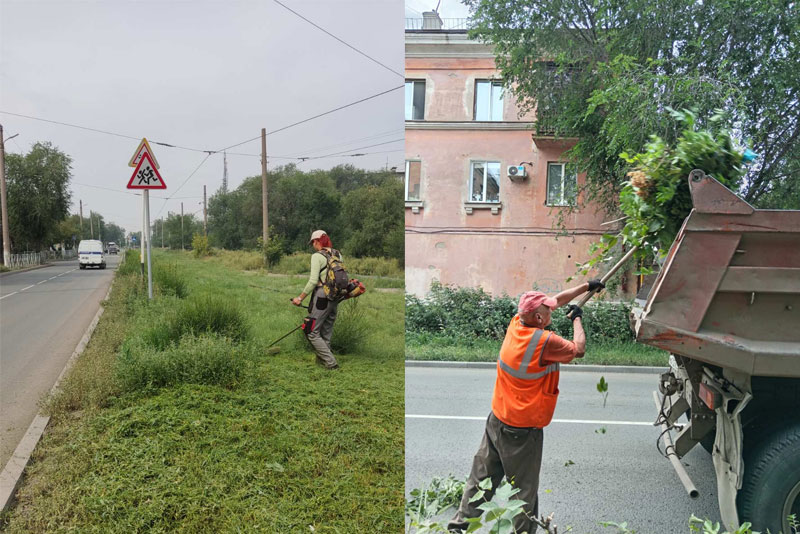 В городе ведется выкос травы и обрезка кустарников