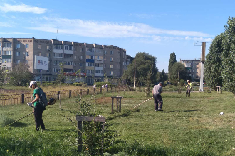 В городе ведется выкос травы и обрезка кустарников