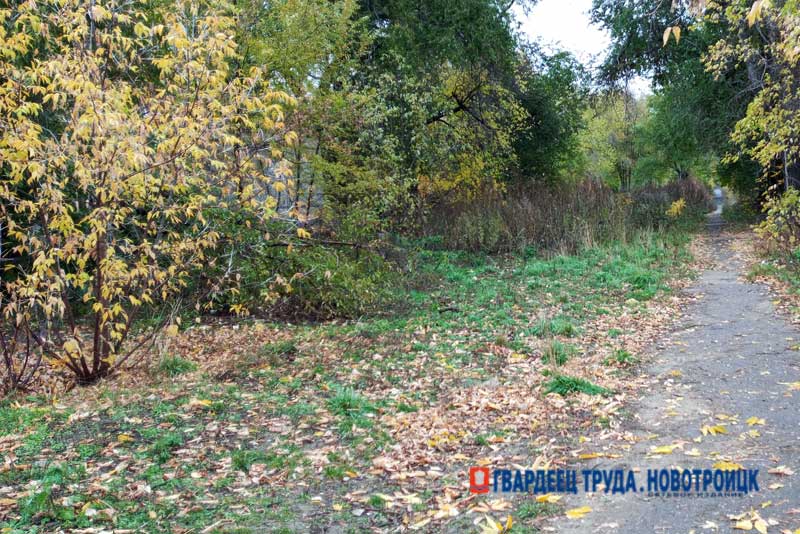Днём 8 октября в Оренбуржье комфортная погода, до +20 градусов