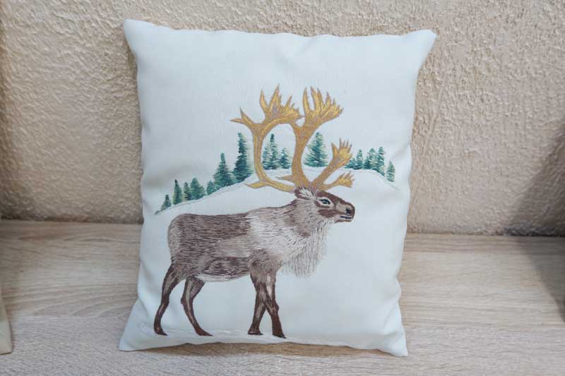 Как нарисовать сказку…  нитками? Художница Валентина Титова знает секрет ( 0+)     