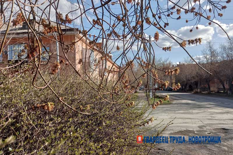 Днем 9 апреля в Оренбуржье небольшой дождь, потеплеет до +19 градусов