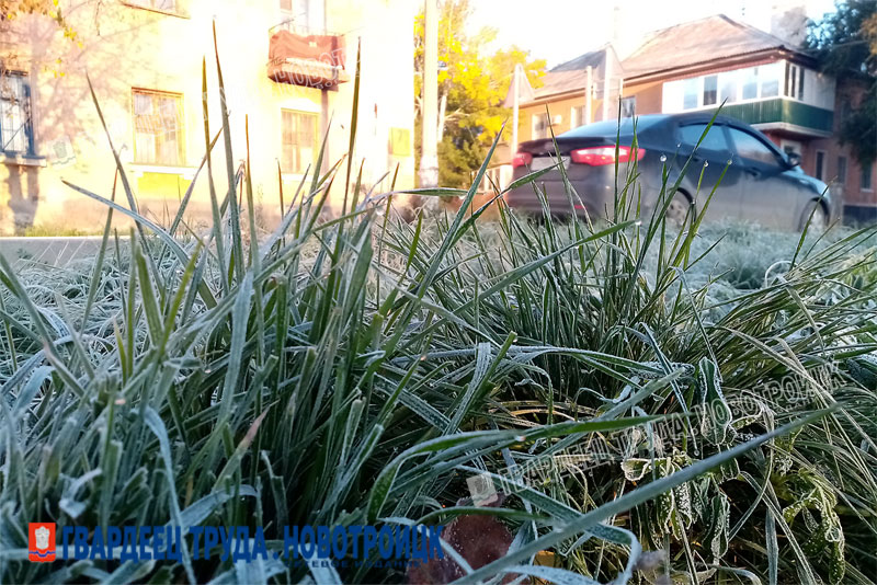 В Оренбуржье 10 и 11 сентября в ночные часы местами ожидаются заморозки