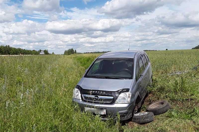 На новотройчанку завели уголовное дело за сильные травмы своей пассажирки в ДТП