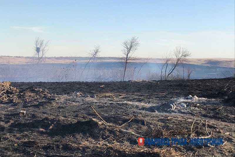 Сухая, без осадков  погода вызвала природные пожары на востоке области