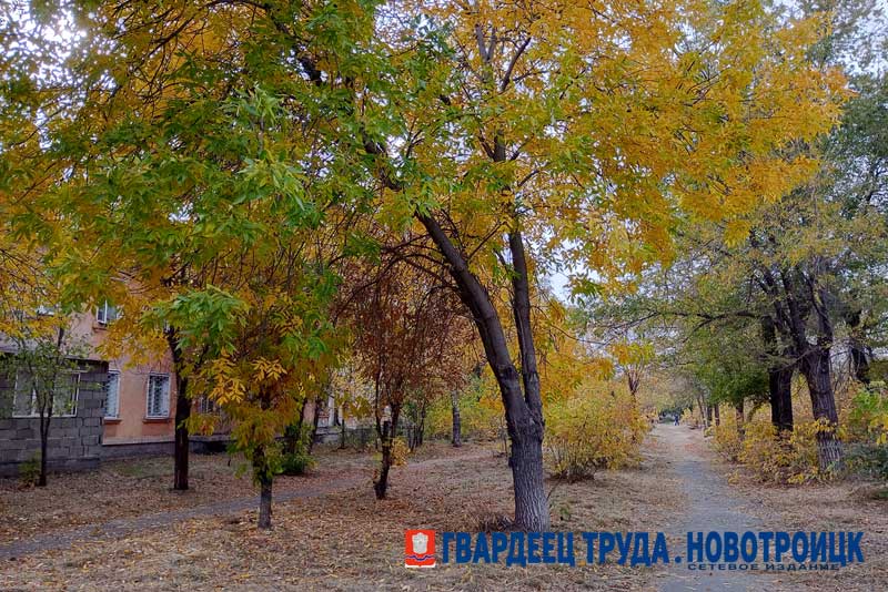 Днем 9 октября в Оренбуржье ожидается туман и до +17 градусов