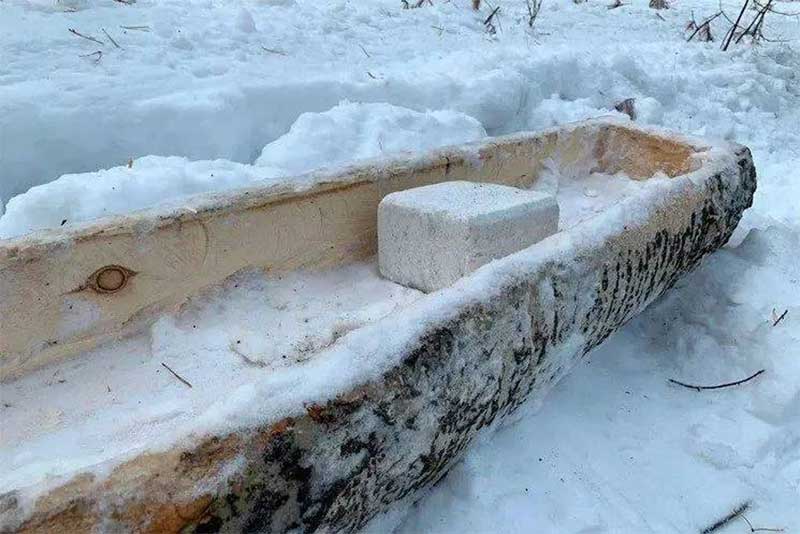 В период зимних холодов в Оренбуржье организовали подкормку диких животных