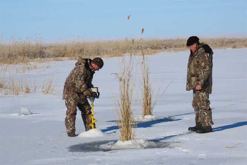 «Глоток воздуха» для спасения рыбы. В Оренбуржье в двенадцатый раз проходит экологическая акция