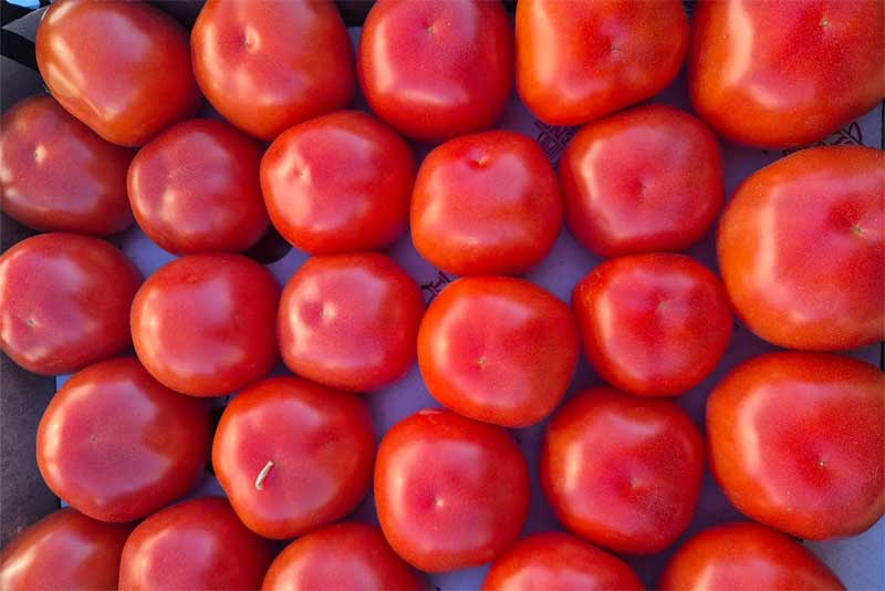 В Оренбуржье на складе временного хранения выявлена партия зараженной овощной продукции