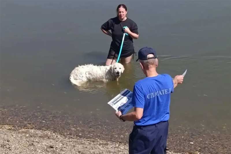 Спасатели провели масштабные рейды по безопасности на воде в популярных зонах отдыха Оренбуржья