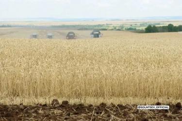 В Оренбуржье собрали 2 миллиона тонн зерна