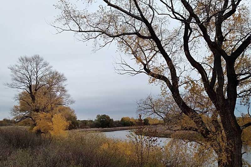 Последнее тепло: барическая ложбина подходит к Оренбуржью