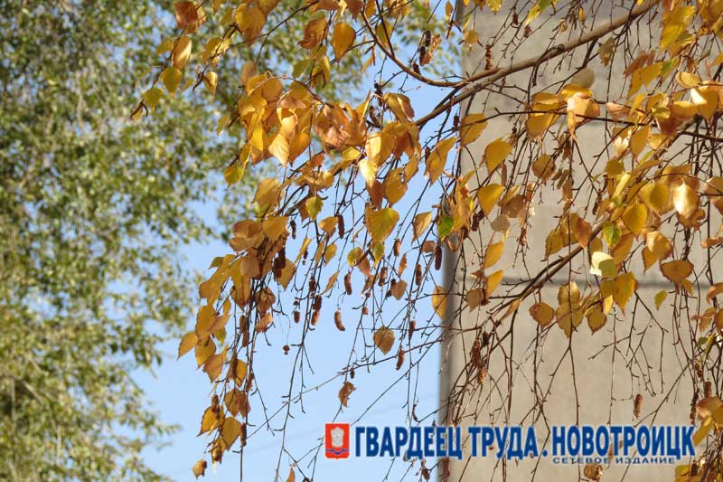 Днём 10 октября в Оренбуржье тепло, без осадков и +20 градусов