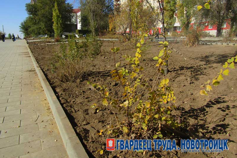Прокуратура Новотроицка взяла на контроль работы по благоустройству каскада аллей на улице Советской