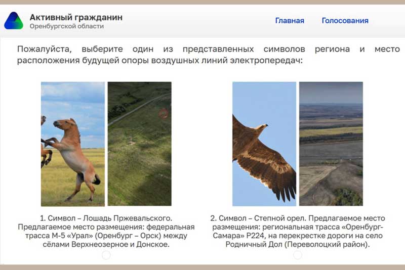 О создании в Оренбуржье нового арт-объекта рассказал губернатор Евгений Солнцев