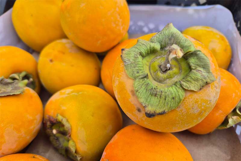 На складах временного хранения в Оренбуржье обнаружили  более 38 тонн зараженной хурмы из Узбекистана