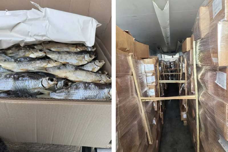 В Оренбуржье пресекли попытку незаконного ввоза 17 тонн вяленой рыбы из Казахстана
